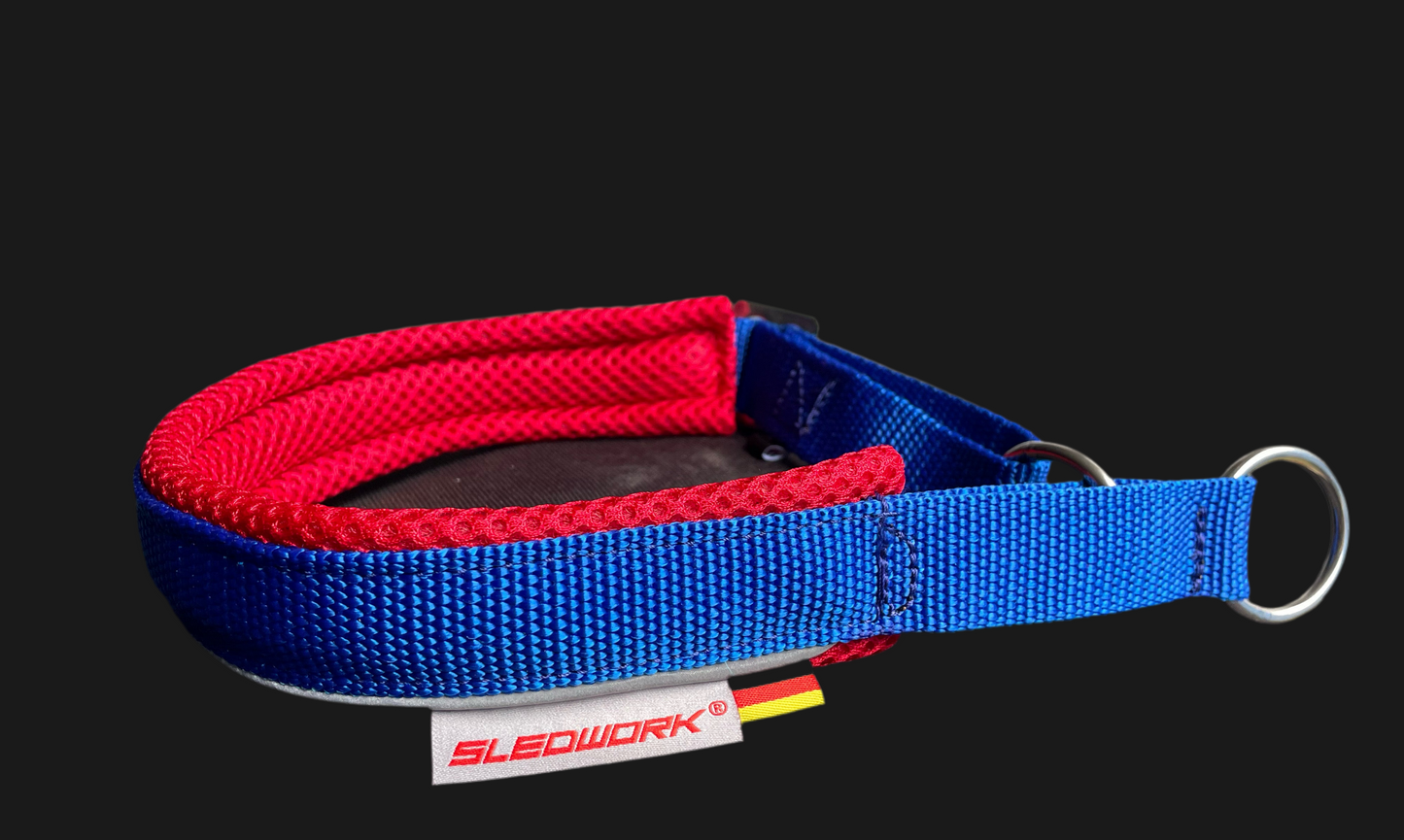 Safety Collar - Active Sport