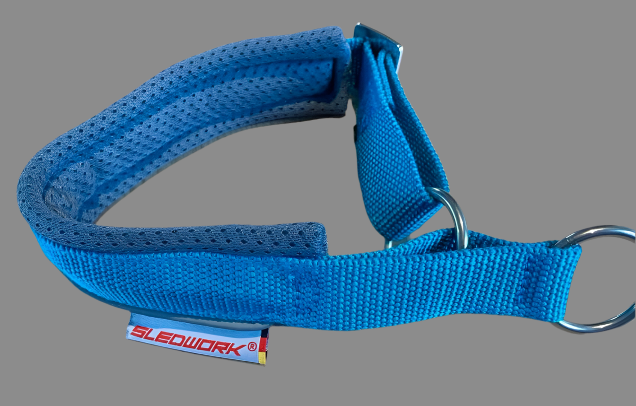 Safety Collar - Active Sport