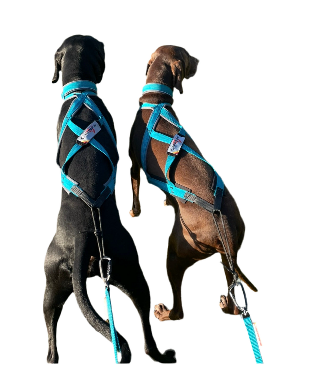 Xback Active G3 - " Custom Colourway"