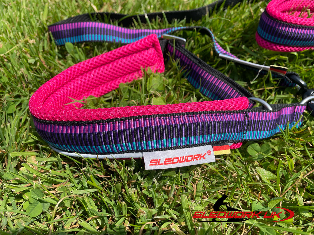 Safety Collar - Active Sport