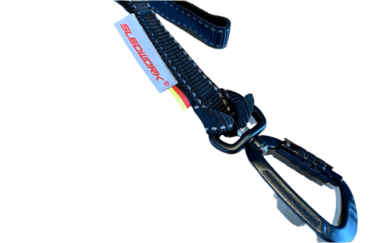 The Bikejor Leash Pro