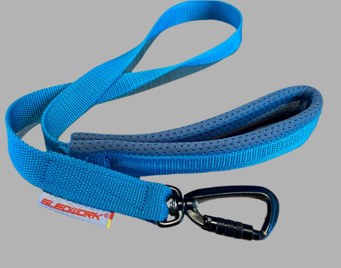 Pro Leash - Active Sport