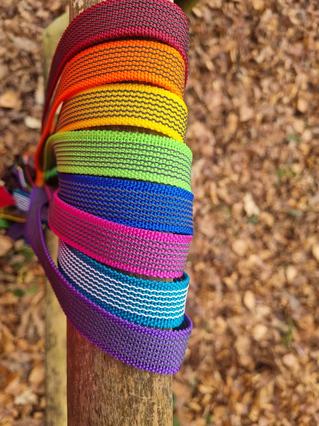 Super Light Leash