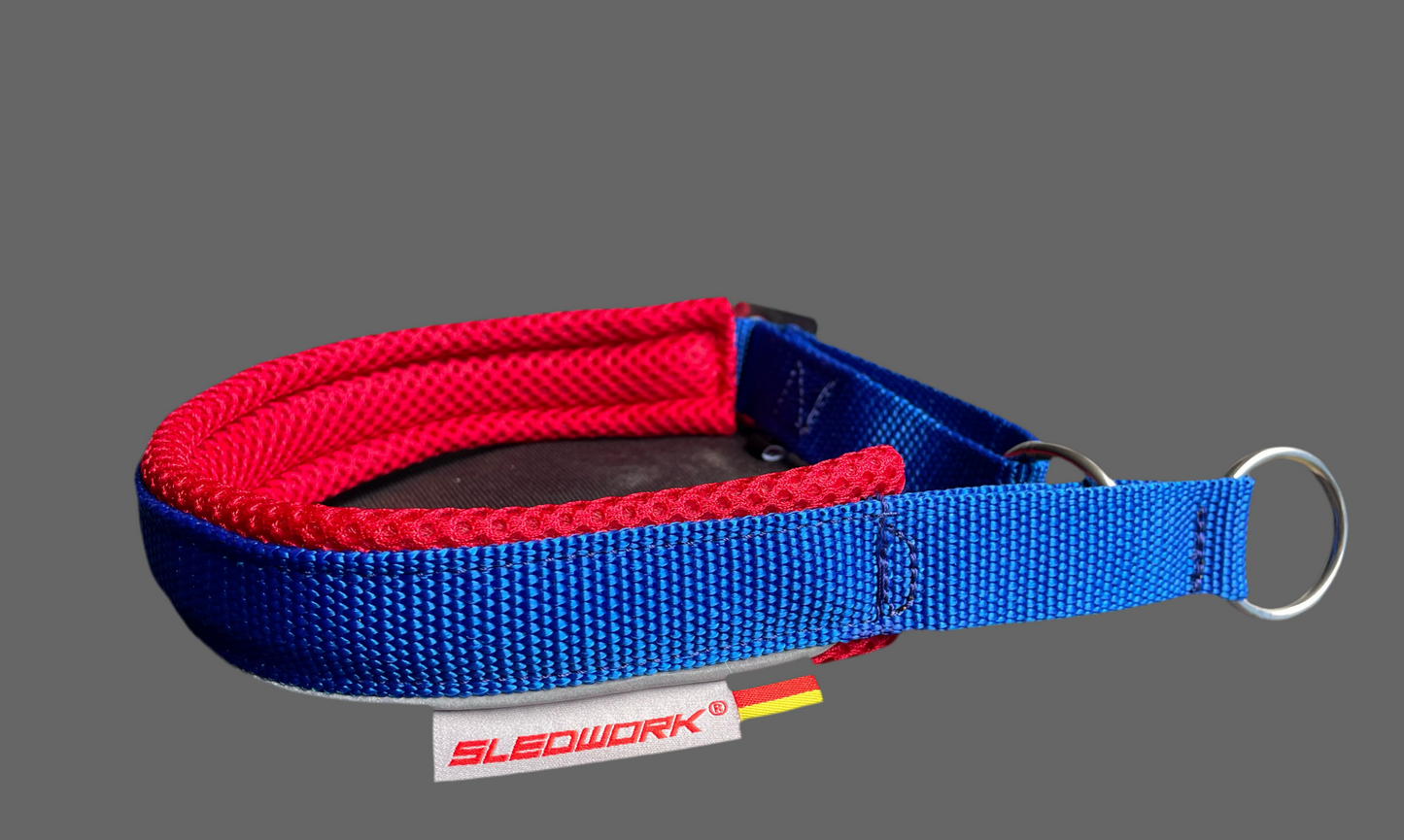 Safety Collar - Active Sport