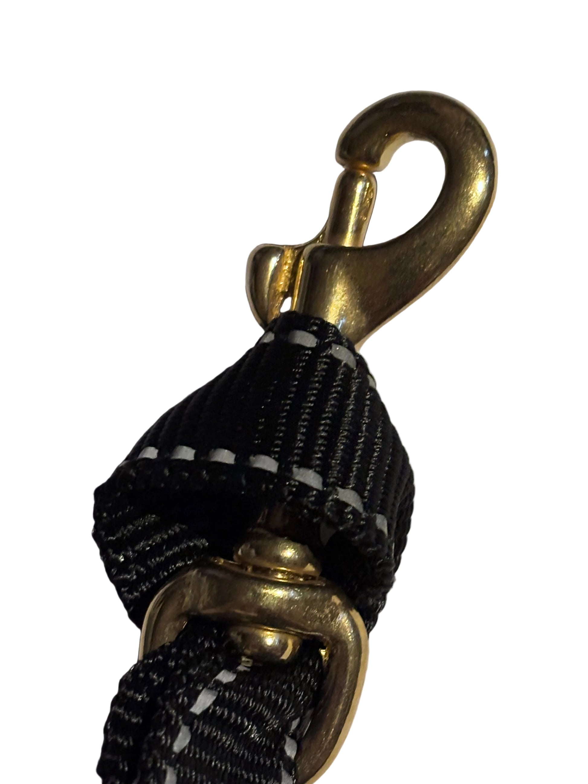 CaniX Leash Pro