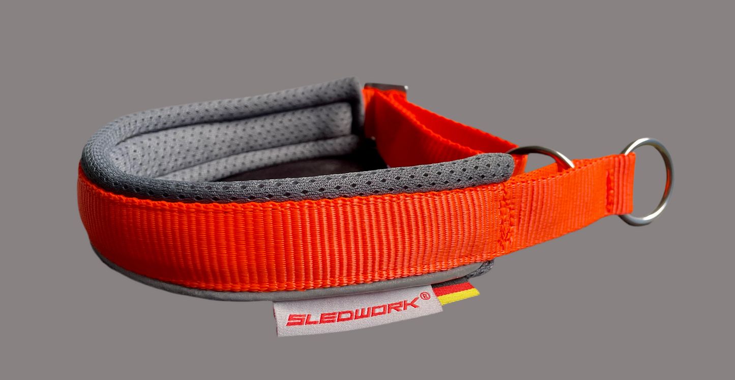 Safety Collar - Active Sport