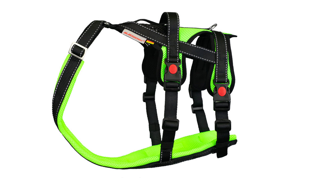 Open Range Harness