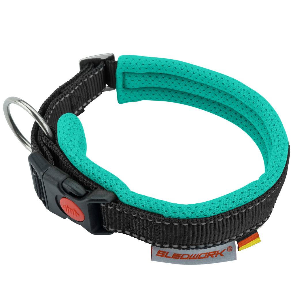 Racing Collar - Arctic Click