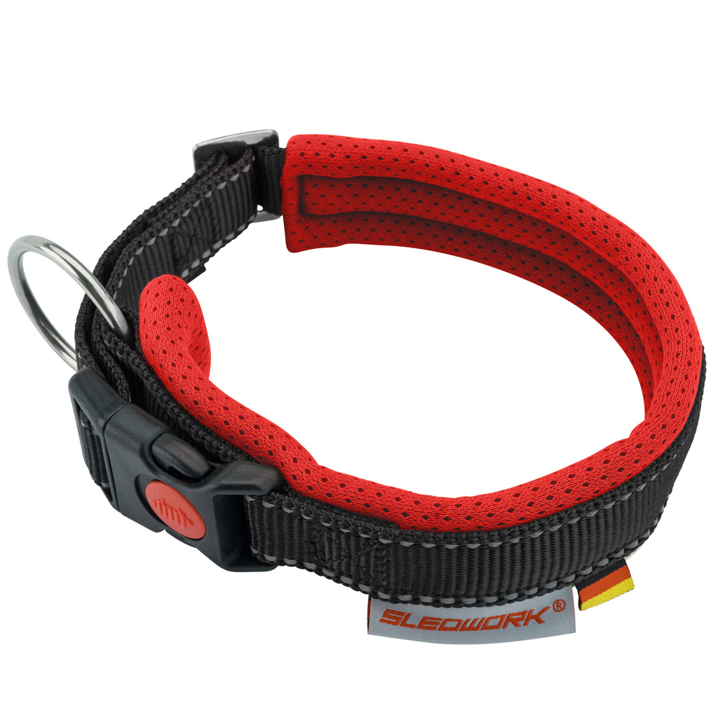Racing Collar - Arctic Click
