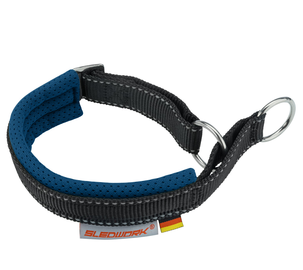 Safety Collar - Active