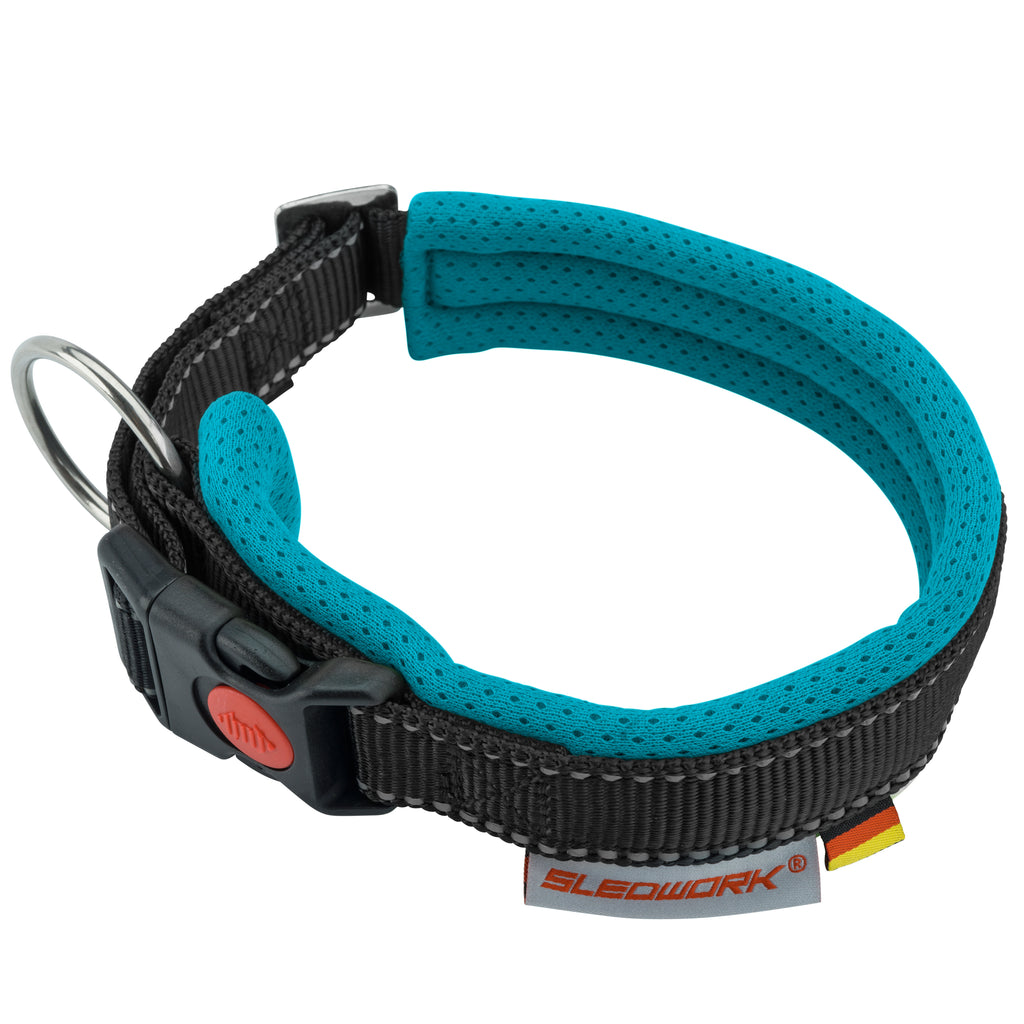 Racing Collar - Arctic Click