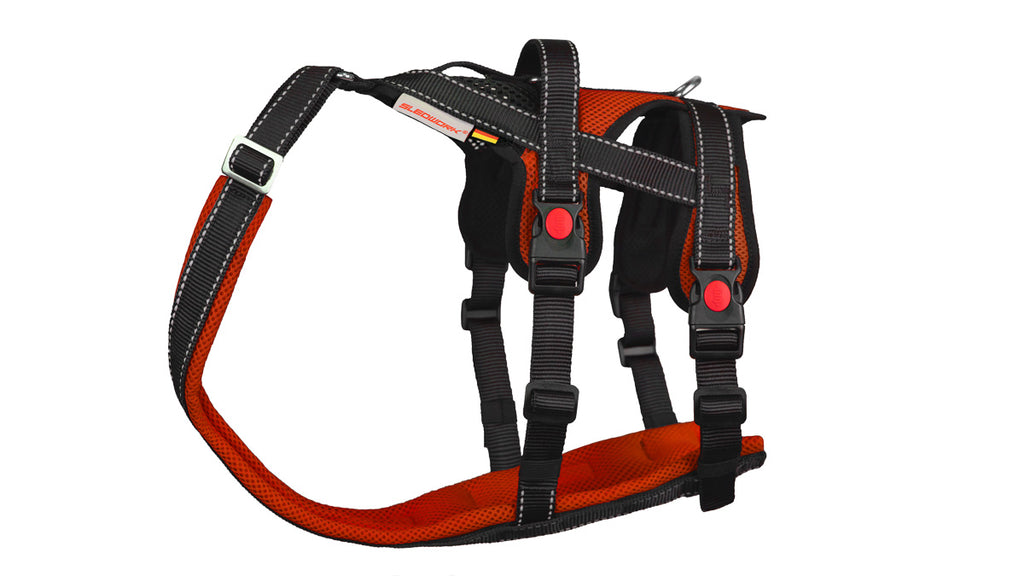 Open Range Harness