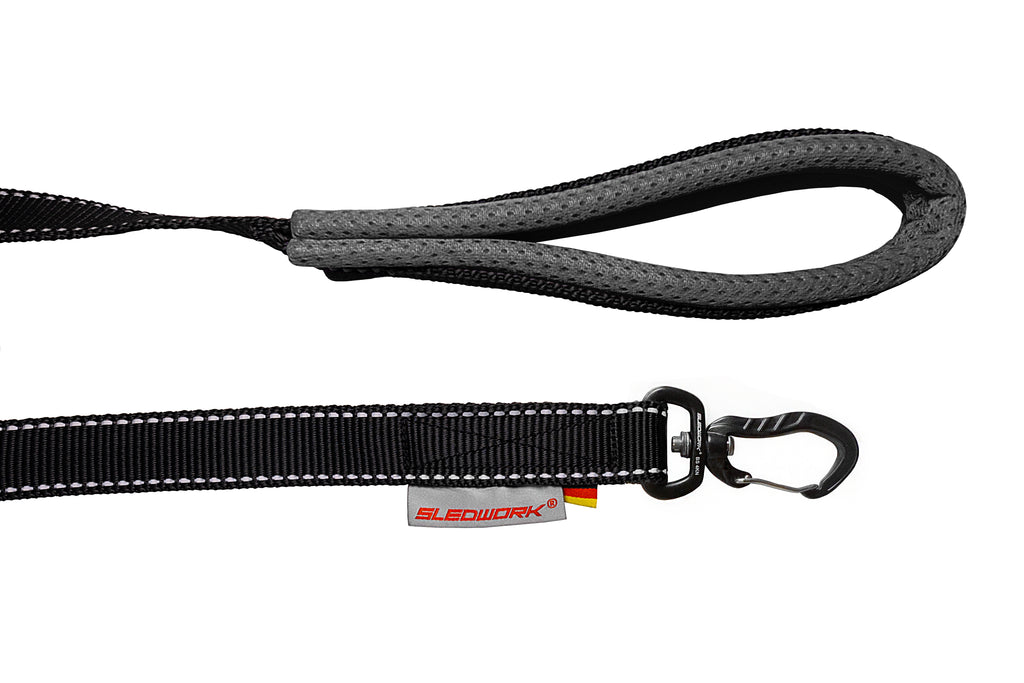 Pro Leash