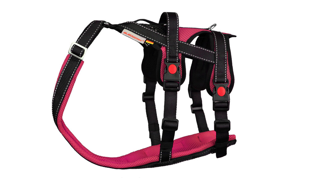 Open Range Harness