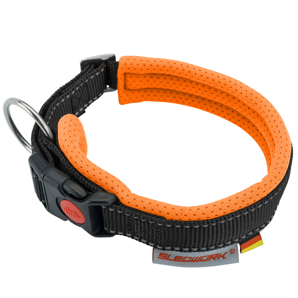 Racing Collar - Arctic Click