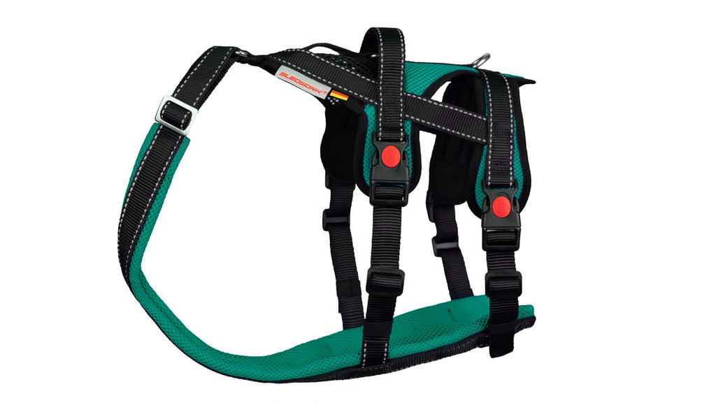 Open Range Harness