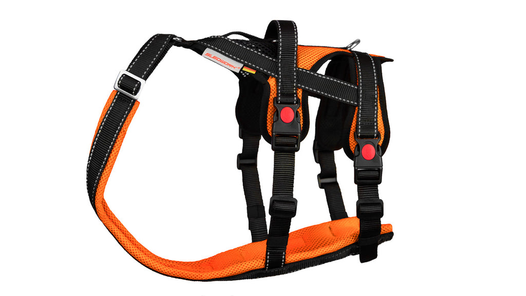 Open Range Harness