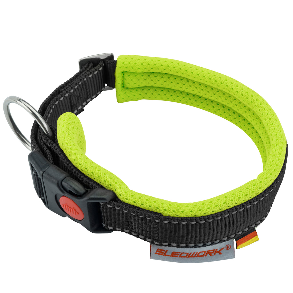 Racing Collar - Arctic Click