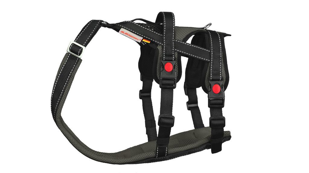 Open Range Harness