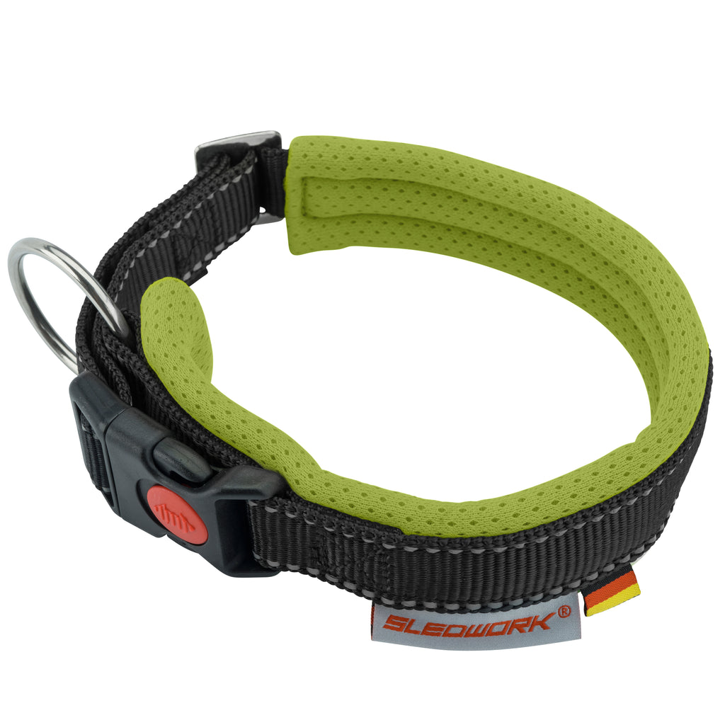 Racing Collar - Arctic Click
