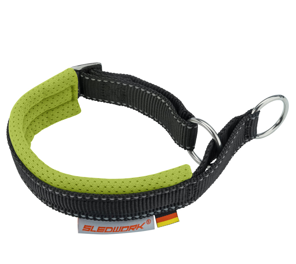 Safety Collar - Active