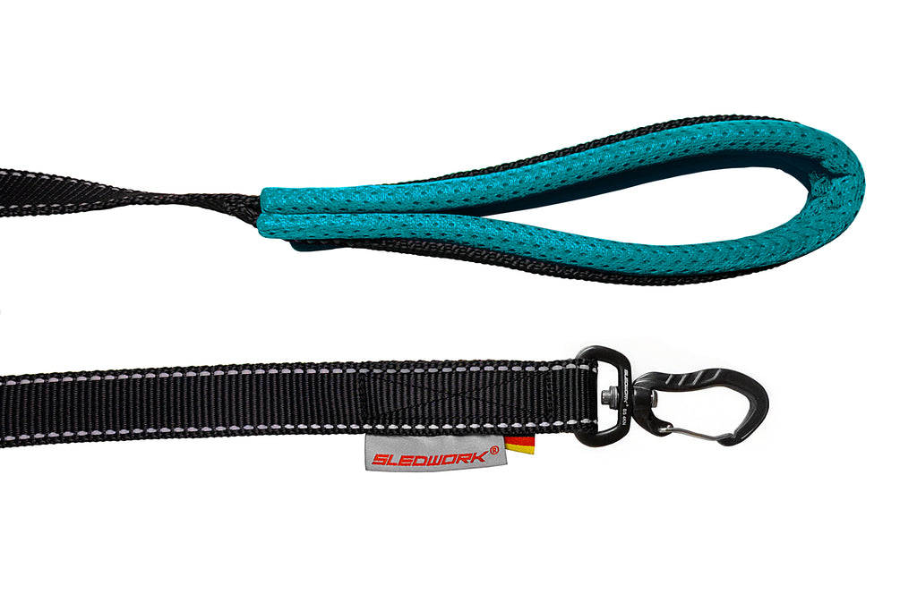 Pro Leash