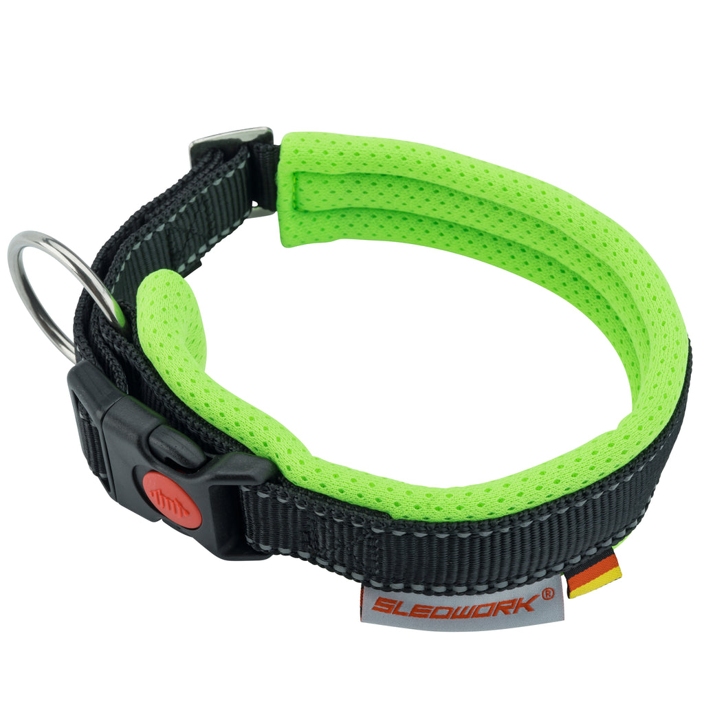 Racing Collar - Arctic Click