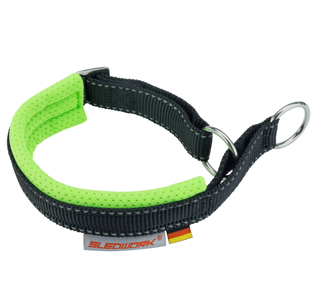 Safety Collar - Active