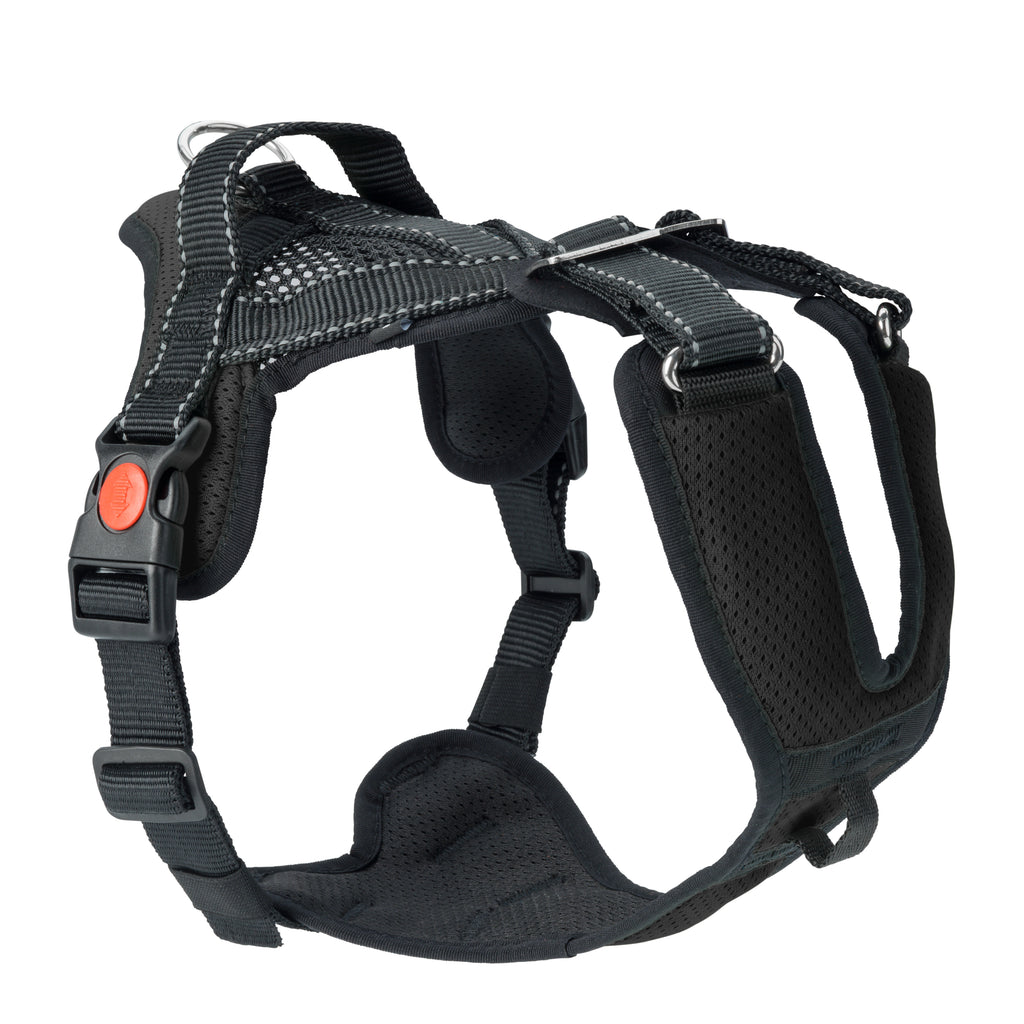 Mountain Pro Harness