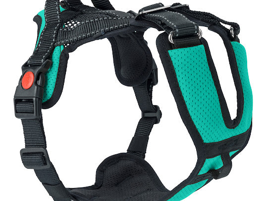 Mountain Pro Harness