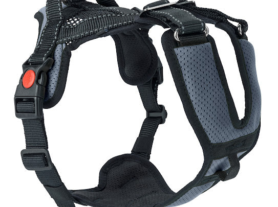 Mountain Pro Harness